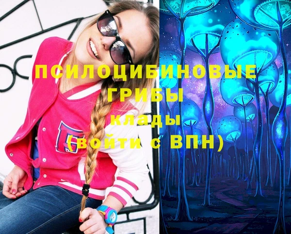 не бодяженный Богородицк