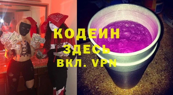 мдпв Снежногорск