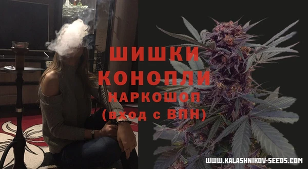 метадон Богданович