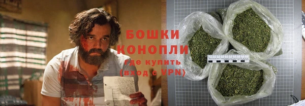 метадон Богданович